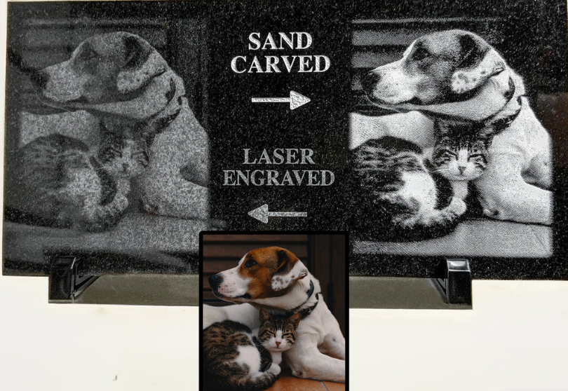 从哀悼到治愈：宠物殡葬定制化纪念品打造高溢价情感价值