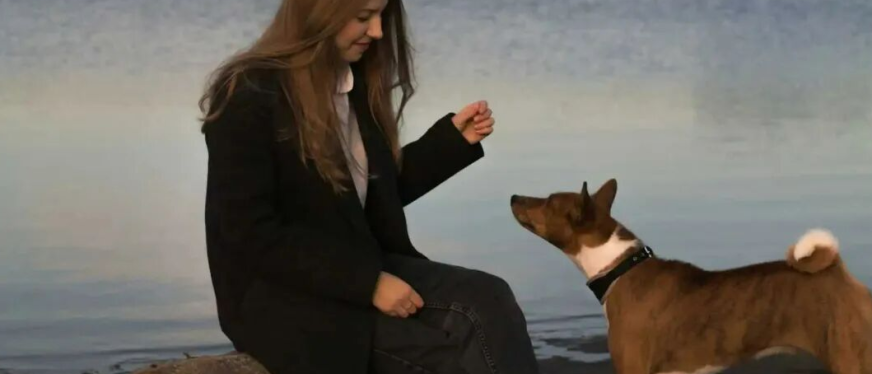 3000亿宠物经济蓝海：普通人如何分一杯羹？