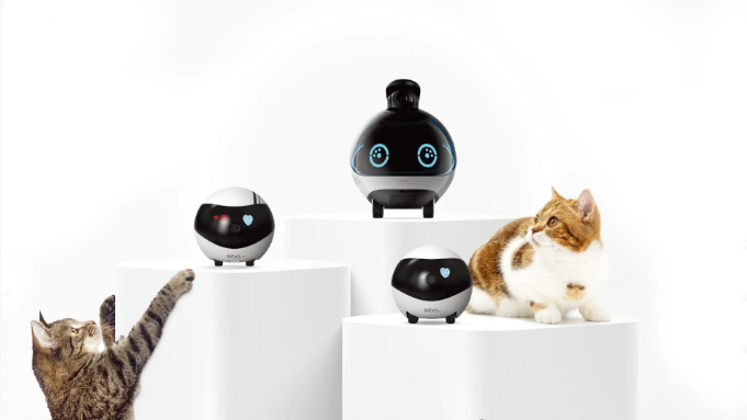 从宠物到家庭：Enabot如何用陪伴机器人打开全球市场​