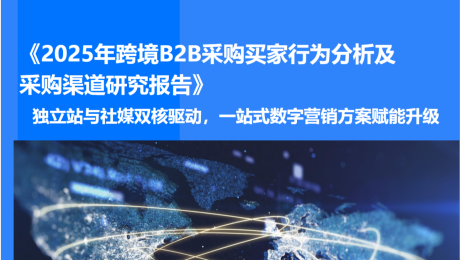 2025年跨境B2B采购买家行为分析及采购渠道研究报告