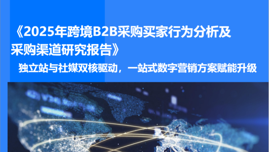 2025年跨境B2B采购买家行为分析及采购渠道研究报告