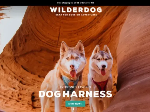 退役登山绳变身爆款狗绳：Wilderdog如何打造年销千万美元的宠物品牌​