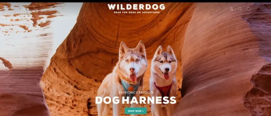退役登山绳变身爆款狗绳:Wilderdog如何打造年销千万美元的宠物品牌