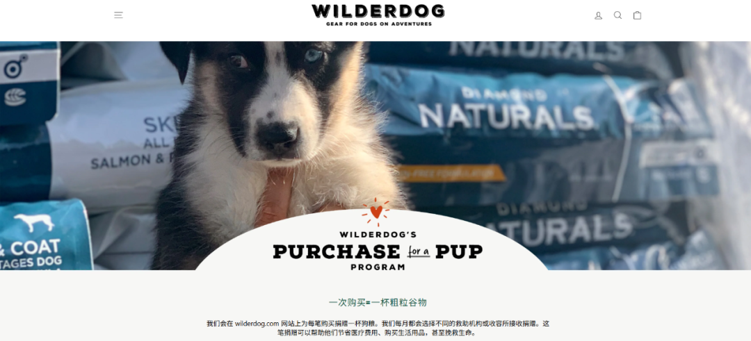 图片 退役登山绳变身爆款狗绳:Wilderdog如何打造年销千万美元的宠物品牌