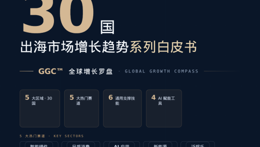 2026三十国出海白皮书