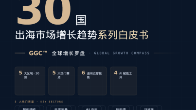 2026三十国出海白皮书
