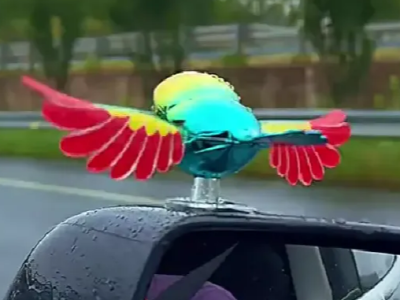 半个月狂卖超200万单?国内10元车载塑料玩具,义乌卖家仅用3天爆单了15万只!