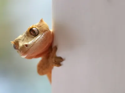 450亿“冷门”生意大爆发！这届年轻人的“癖好”不简单