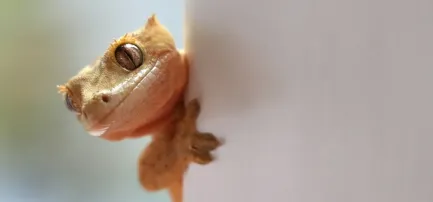 450亿“冷门”生意大爆发！这届年轻人的“癖好”不简单