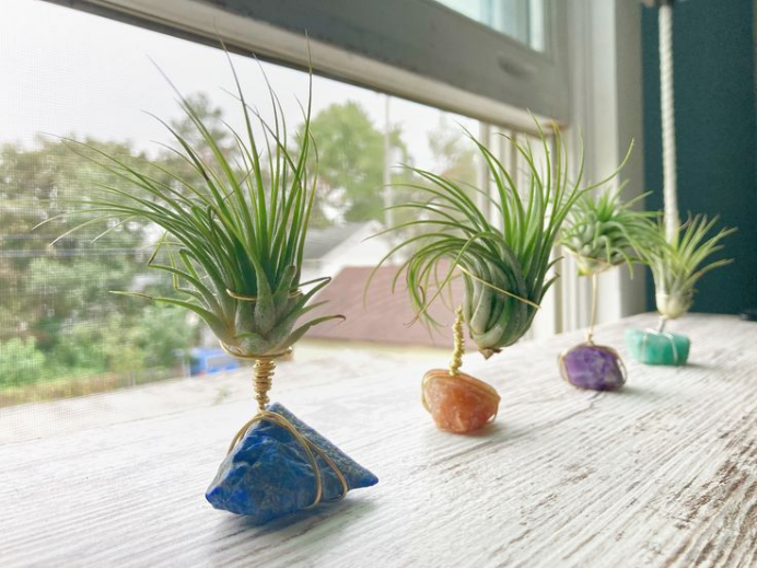 图片 单款销售1500万:水晶盆栽如何靠"能量寓意"打开海外市场