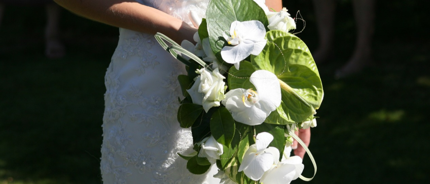 日单1000+,靠POD模式拿下全品类第一!