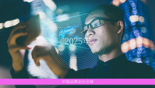 2025年中国品牌全球影响力报告