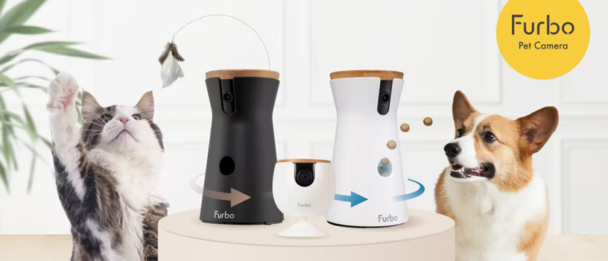 深耕一个品类十年,台湾夫妇靠宠物摄像头年入千万美金