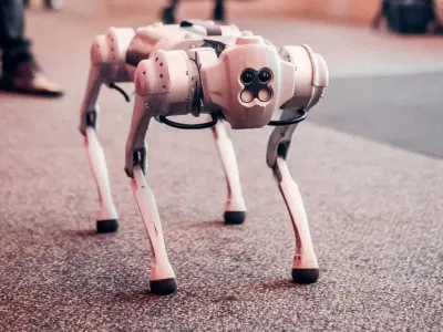 年入17亿，杭州大卖也要冲刺IPO