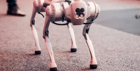 年入17亿，杭州大卖也要冲刺IPO