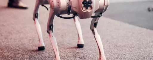 年入17亿，杭州大卖也要冲刺IPO