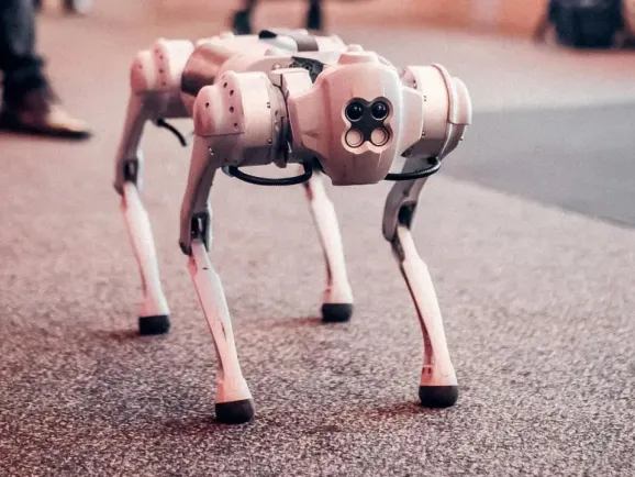 年入17亿，杭州大卖也要冲刺IPO