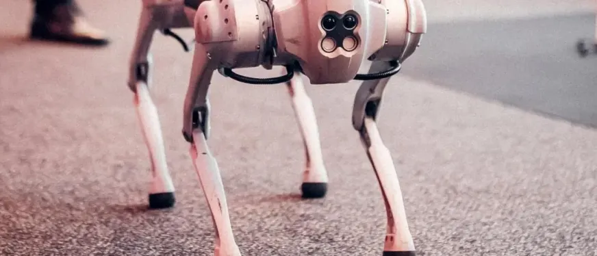 年入17亿，杭州大卖也要冲刺IPO