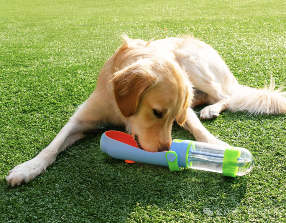 图片 14天狂揽336万!“反向日光浴”卖到断货,中国出海品牌凭什么横扫TikTok?