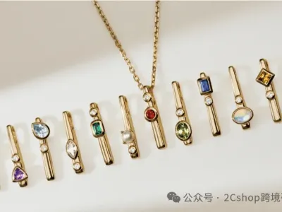 从5000美金到年营收2亿，珠宝独立站的出圈密码