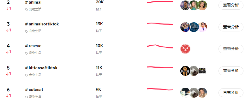 【本周TT美国话题趋势】TikTok热门话题“meow”:萌宠背后的宠物品牌营销大机遇