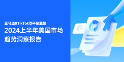 2024年H1亚马逊+TikTok市场洞察报告