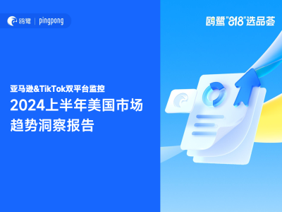 2024年H1亚马逊+TikTok市场洞察报告