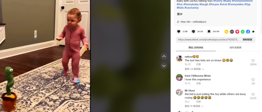 超1亿次曝光量，小众儿童玩具销量在美区飙升！