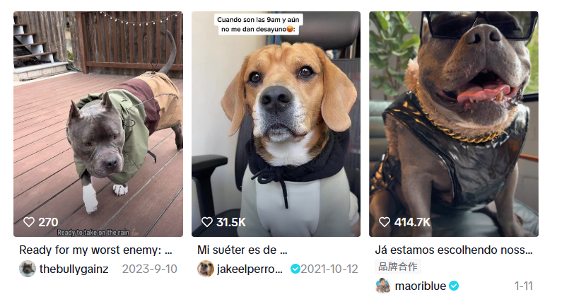 宠物服饰品牌SPARK PAWS半年销售5600万美元：精准切入法斗犬细分市场，靠“人宠亲子装”引爆欧美