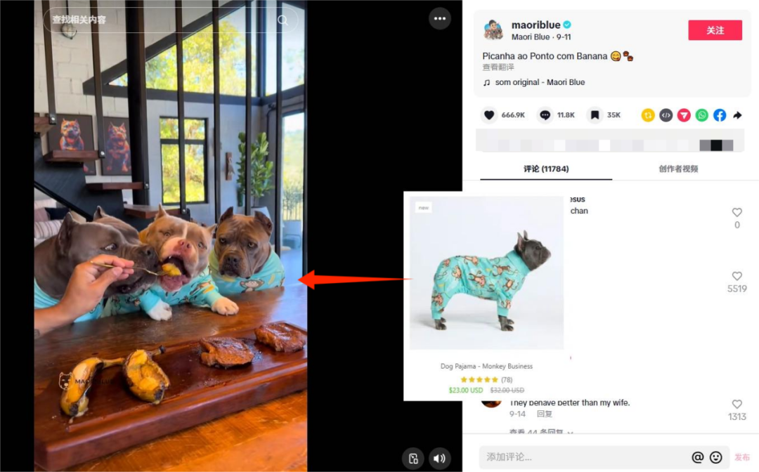 宠物服饰品牌SPARK PAWS半年销售5600万美元：精准切入法斗犬细分市场，靠“人宠亲子装”引爆欧美