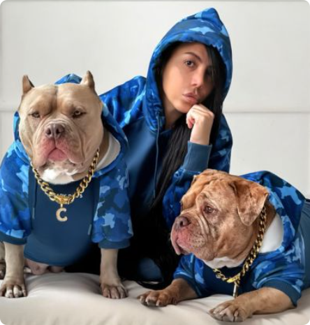 宠物服饰品牌SPARK PAWS半年销售5600万美元:精准切入法斗犬细分市场,靠“人宠亲子装”引爆欧美