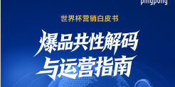 2026年世界杯营销白皮书