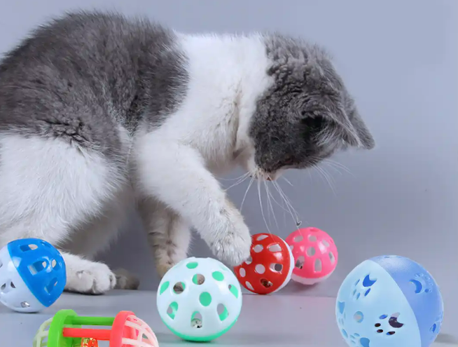 年销 345 万美元！宠物玩具成 TikTok Shop 出海爆款！