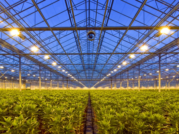 年销10亿，爆卖200多国！山东老板做“不起眼”的生意发家 | 品牌出海