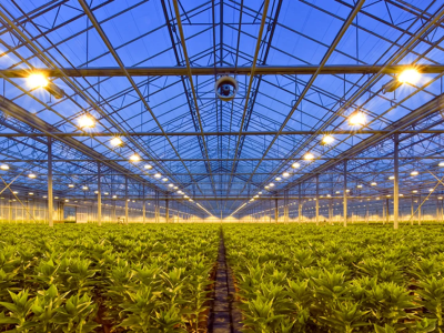 年销10亿,爆卖200多国!山东老板做“不起眼”的生意发家 | 品牌出海