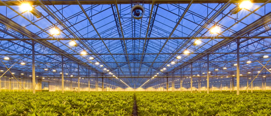 年销10亿,爆卖200多国!山东老板做“不起眼”的生意发家 | 品牌出海