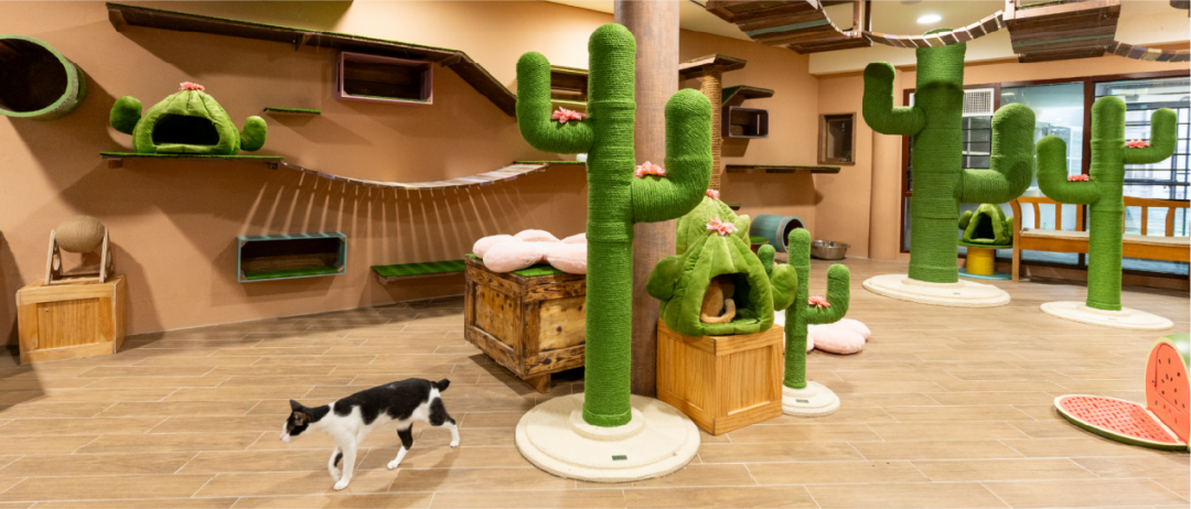 图片 上海大卖靠“高颜值”火出圈,两年赚2亿