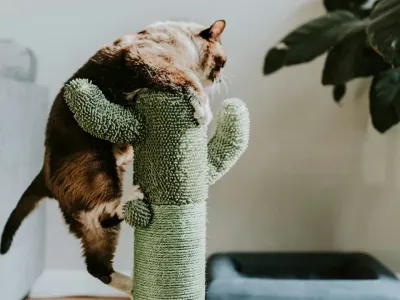 上海大卖靠“高颜值”火出圈，两年赚2亿