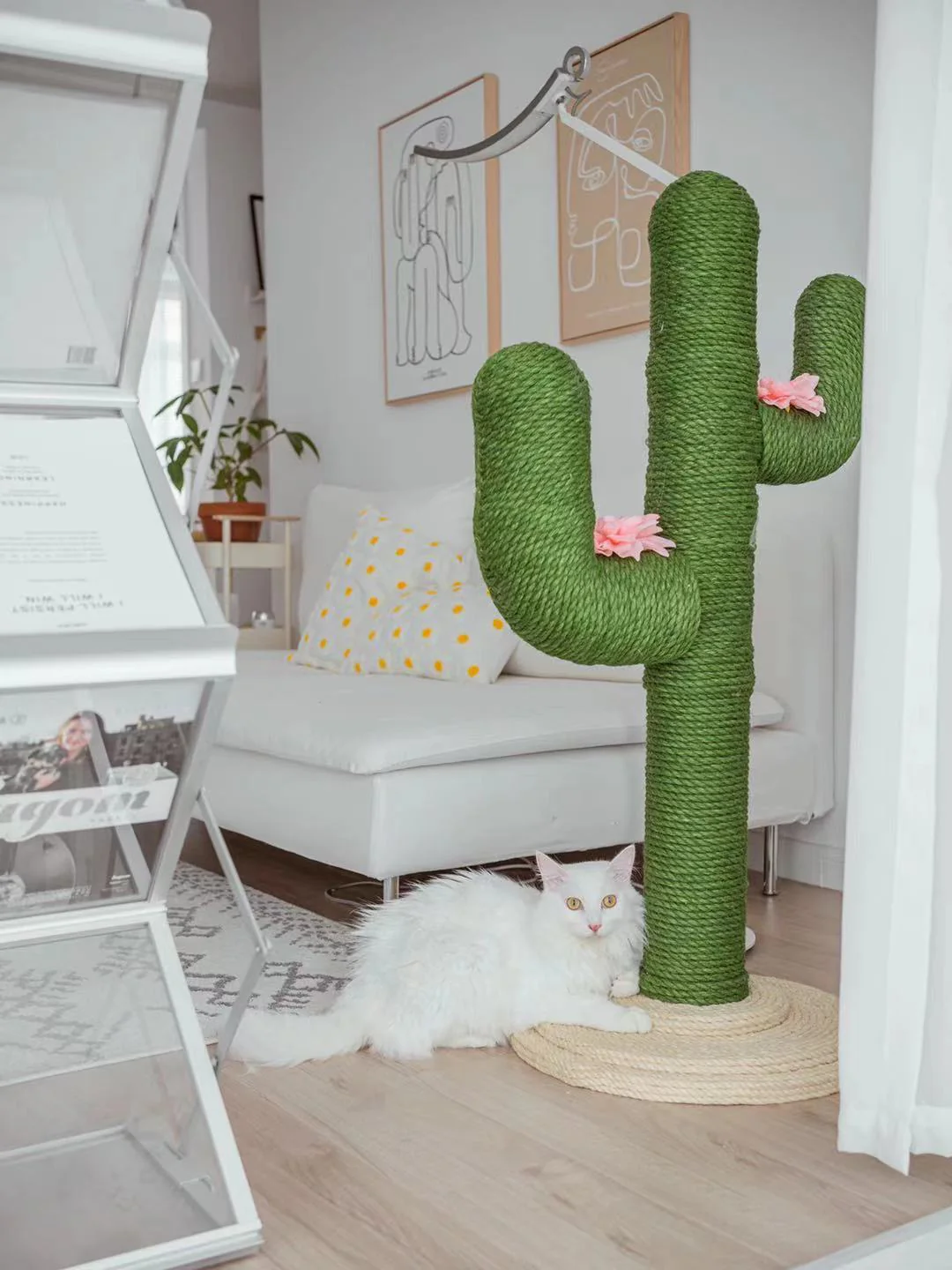 图片 上海大卖靠“高颜值”火出圈,两年赚2亿