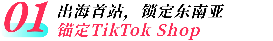 图片 家纺如何做到日均销售3万美金?传统家纺企业出海实操技巧!