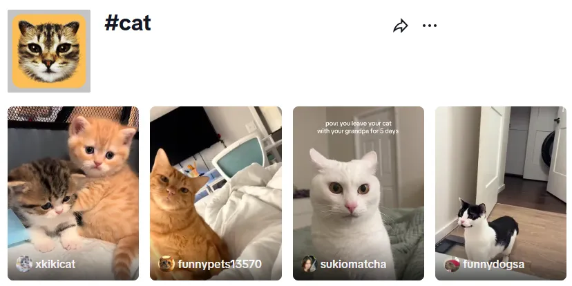 TikTok卖出2967万美元！小众需求里走出的“大爆款”，宠物科技成趋势