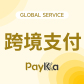 【PayKKa】外贸收款+独立站收单