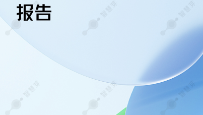 2024年度科创领袖TOP100报告