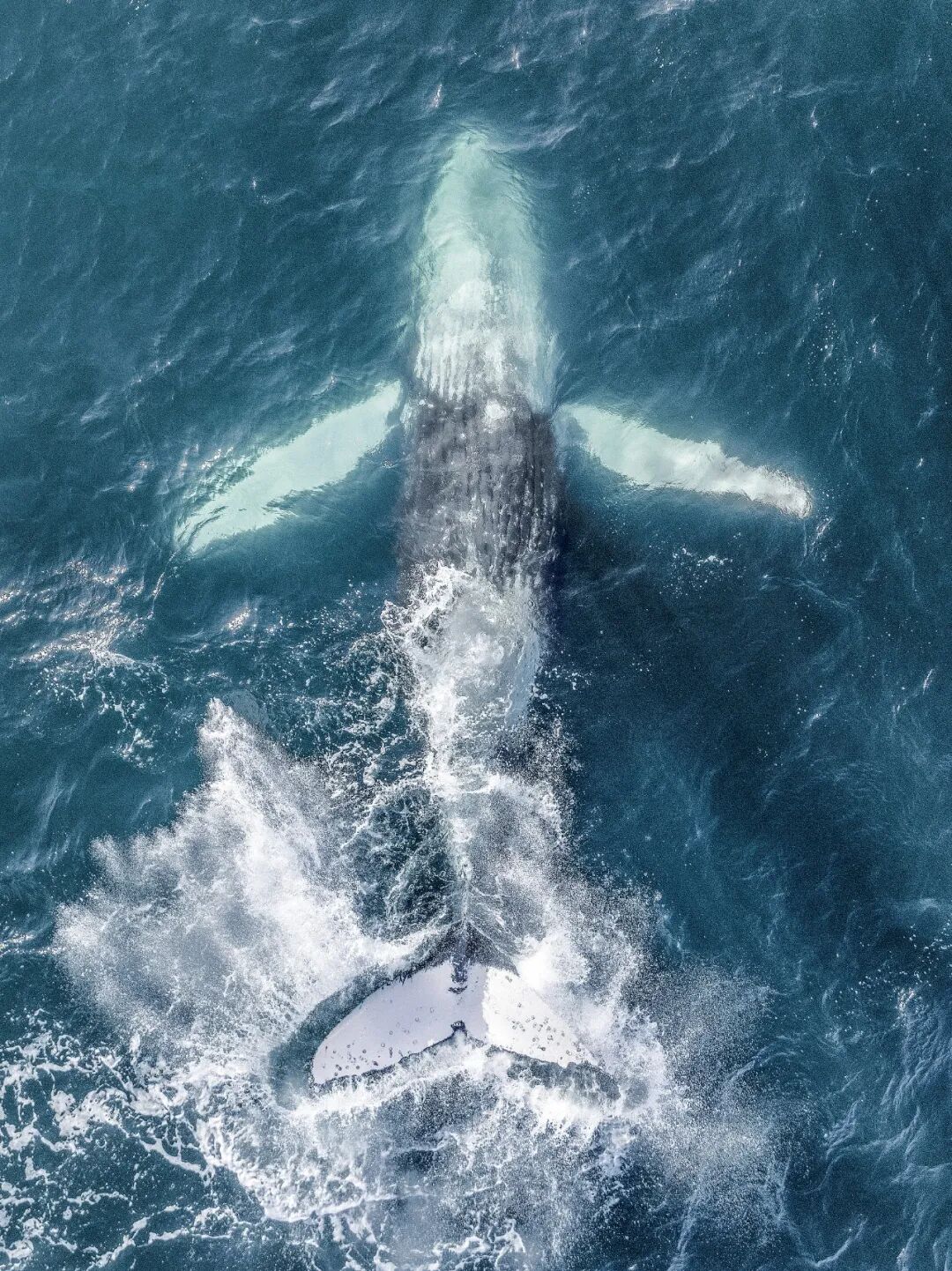 出海2035：接下来是最有希望的十年，可能也是最难的十年
