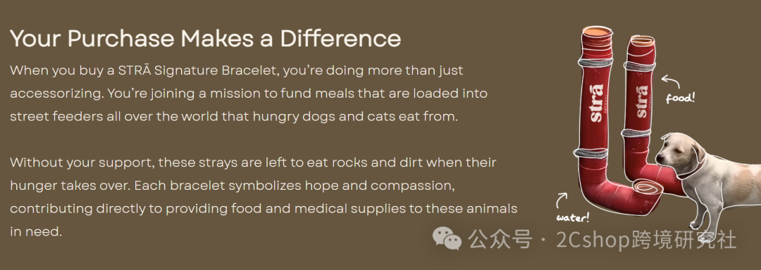 图片 仅凭一条手链,独立站年入2200万美金