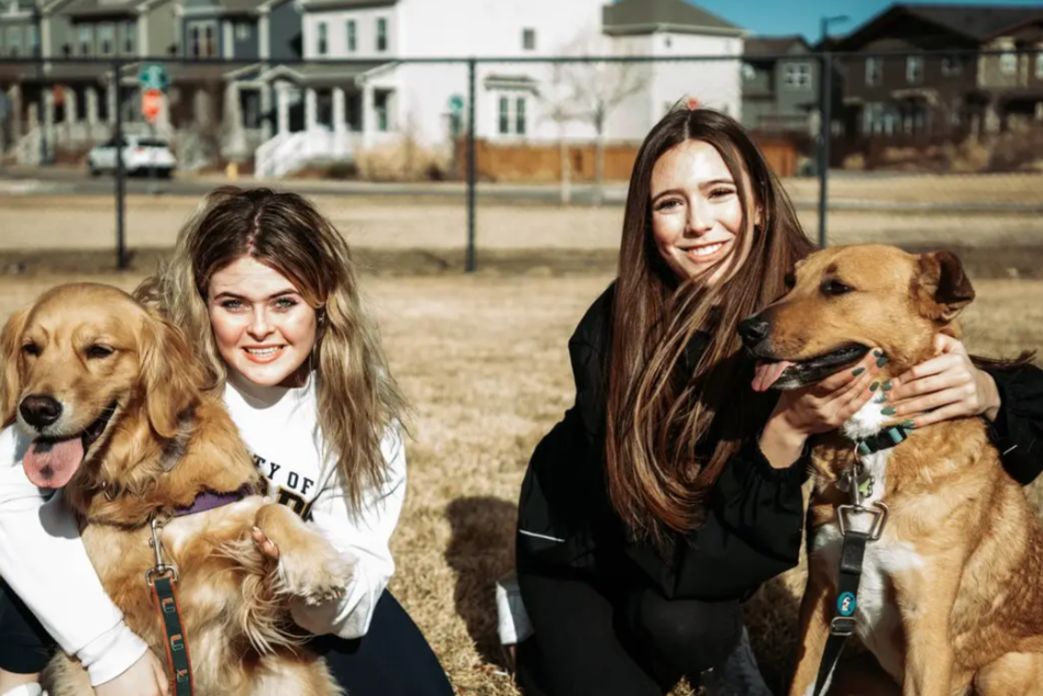 华东这个1年狂揽400亿跨境大卖，正式"杀入"宠物赛道！千亿宠物赛道迎来重磅玩家？