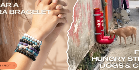 仅凭一条手链，独立站年入2200万美金