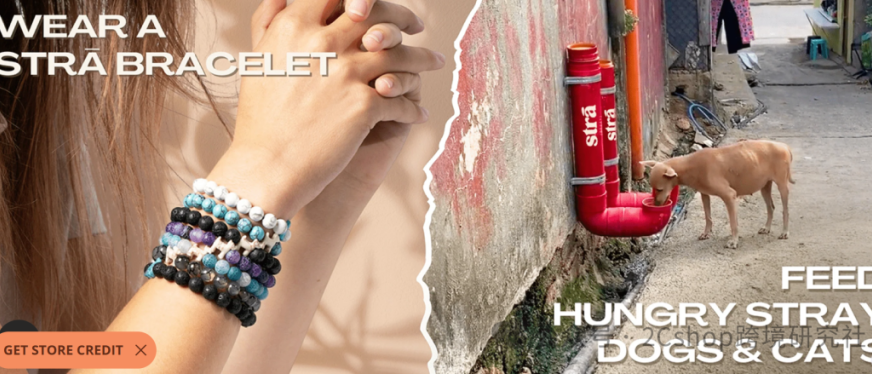 仅凭一条手链,独立站年入2200万美金