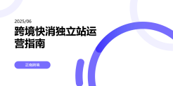 跨境快消独立站运营指南