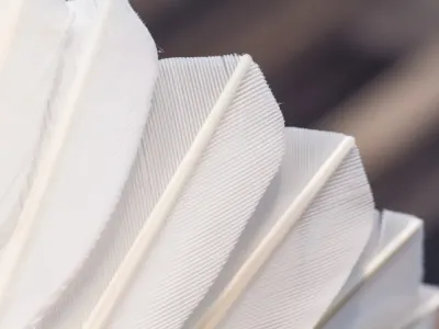 送人都不要？湖南夫妻靠它年入1个亿